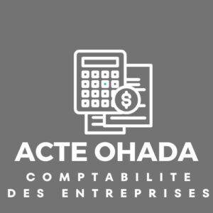 Acte uniforme pour la comptabilité des entreprises AUCE OHADA