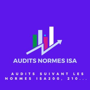 Audits suivant les normes ISA200 ISA210 ISA230 ISA300 ISA700