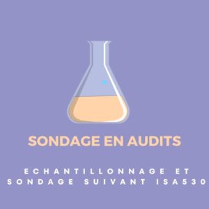 Echantillonnage et sondage en Audit suivant la norme ISA530