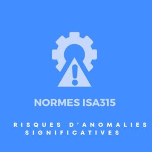 Risques d'anomalies significatives suivant la Norme ISA315