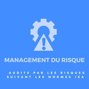 management du risque dans l'audit des états financiers suivant la norme ISA315 ISA320 et ISA400